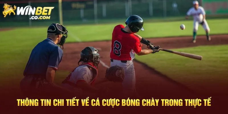 Giới thiệu vài nét về cá cược bóng chày