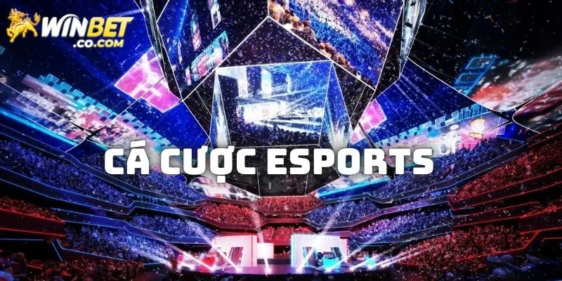 Chiến thuật cá cược eSports siêu dễ