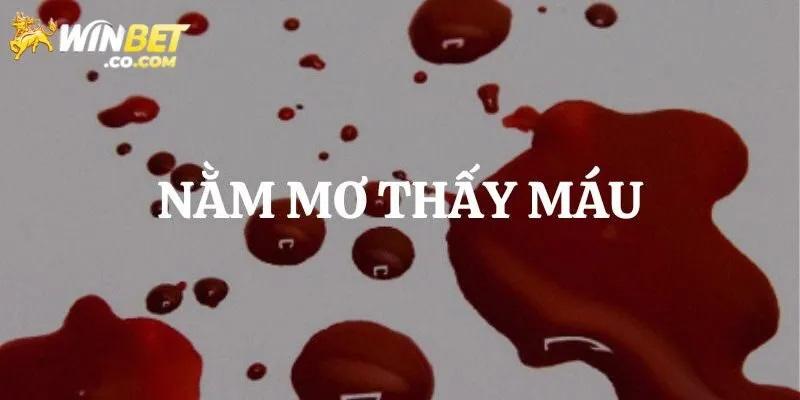Winbet Giải Mã Chi Tiết Nằm Mơ Thấy Máu Và Con Số May Mắn
