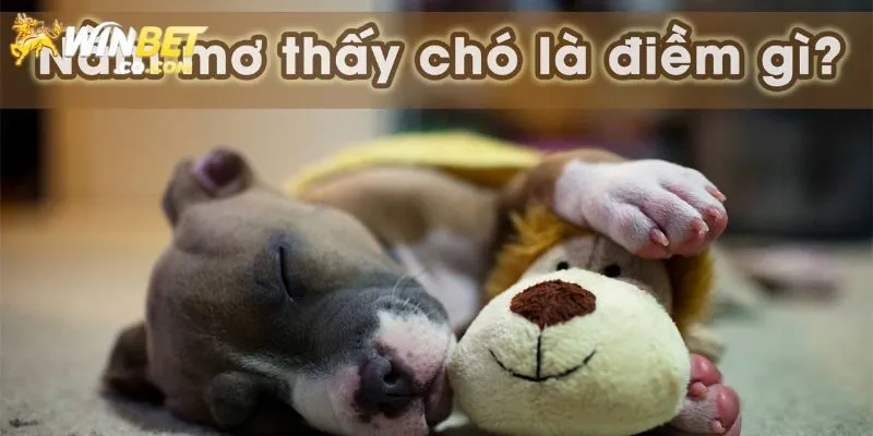 Giấc mộng về cún có ý nghĩa gì?