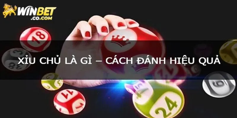 Xỉu Chủ Là Gì? - Phương Pháp Chơi Siêu Hiệu Quả Từ Winbet